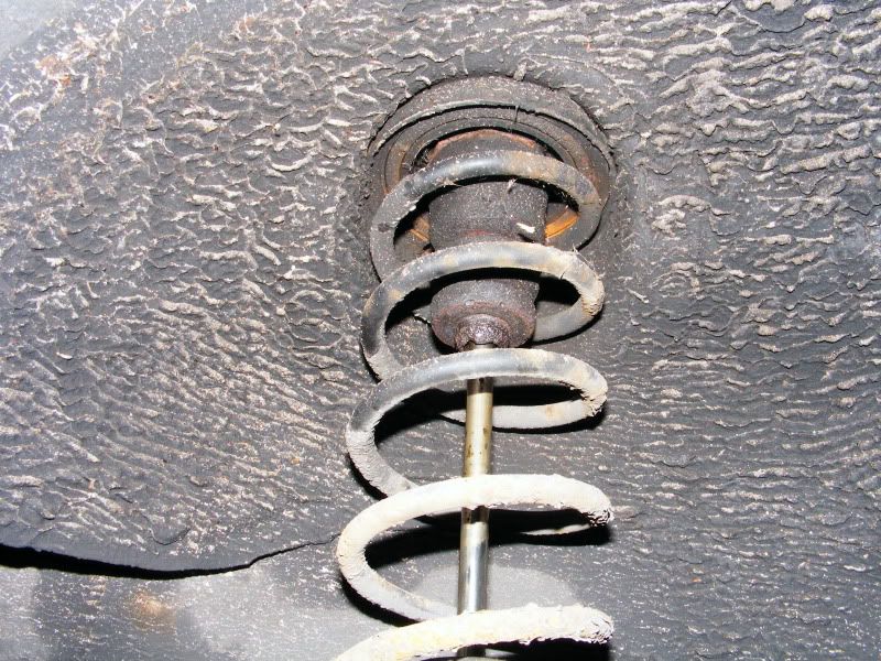 Micra28.jpg