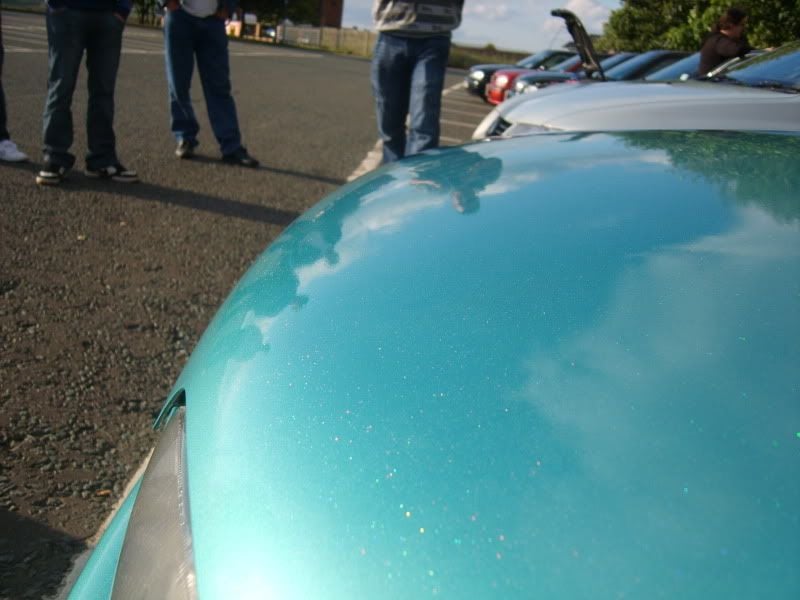 S8001734.jpg
