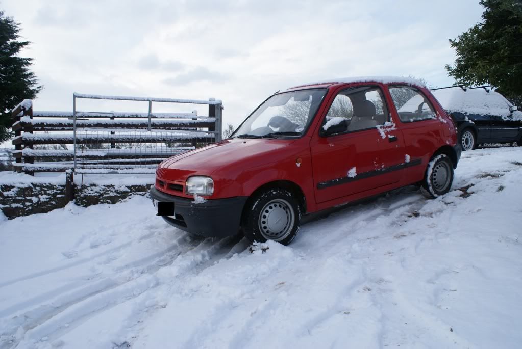 micra4.jpg