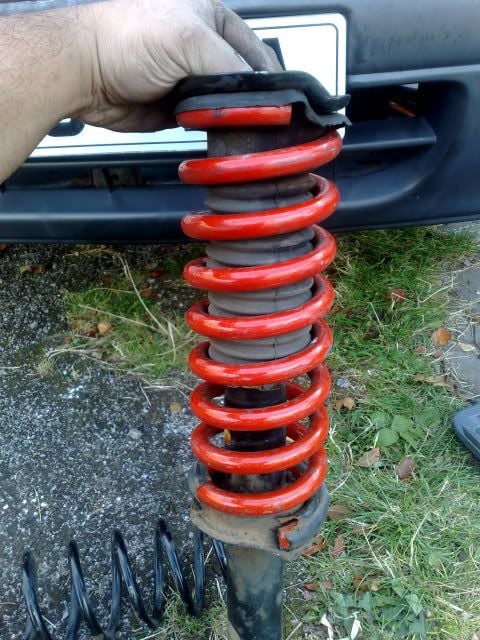SPRINGS9.jpg