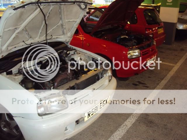 DSC04335.jpg