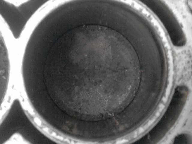 P170410_1717_02.jpg