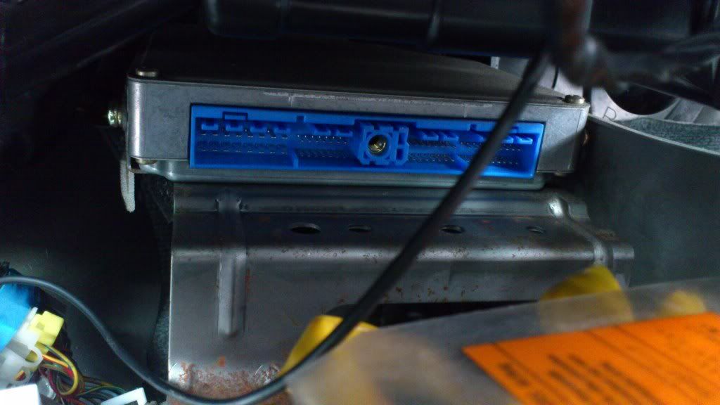 DSC_1253.jpg