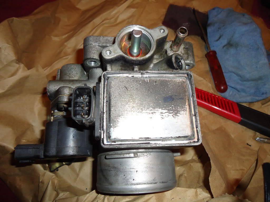DSC00010.jpg