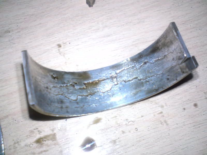 Bigendbearing1.jpg