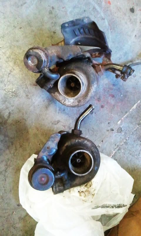 2011-07-28170326.jpg