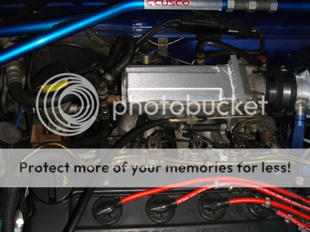 DSC03856.jpg