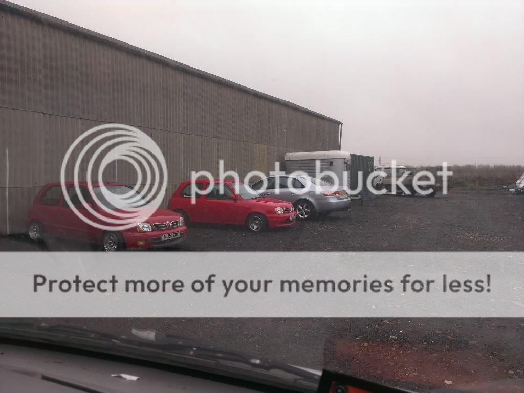 IMAG0181_zps1be590d8.jpg