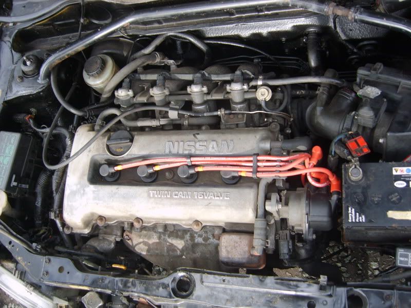S8001721.jpg