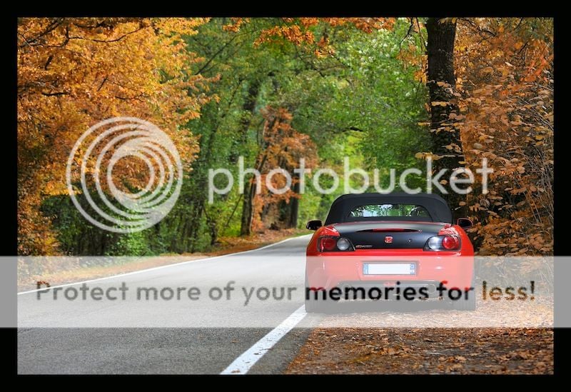 autumn.jpg