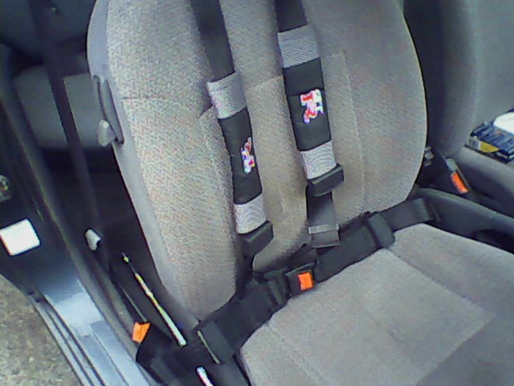 Img00012.jpg