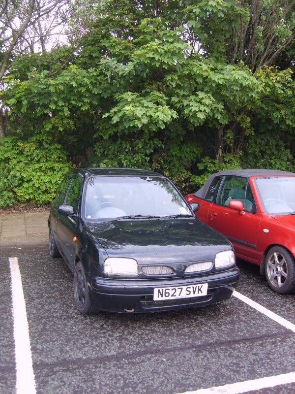 S8001703.jpg