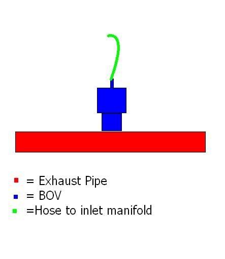 bov.jpg