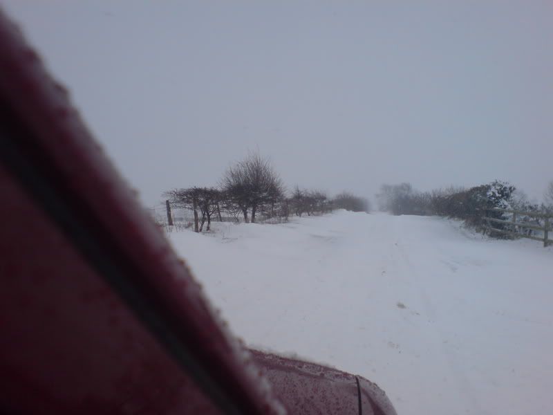 snow5.jpg