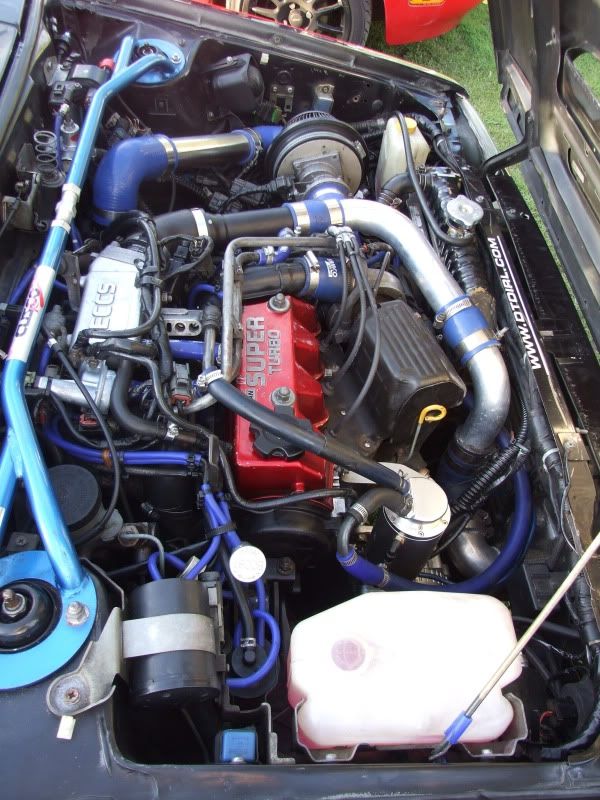 DSCF5524.jpg