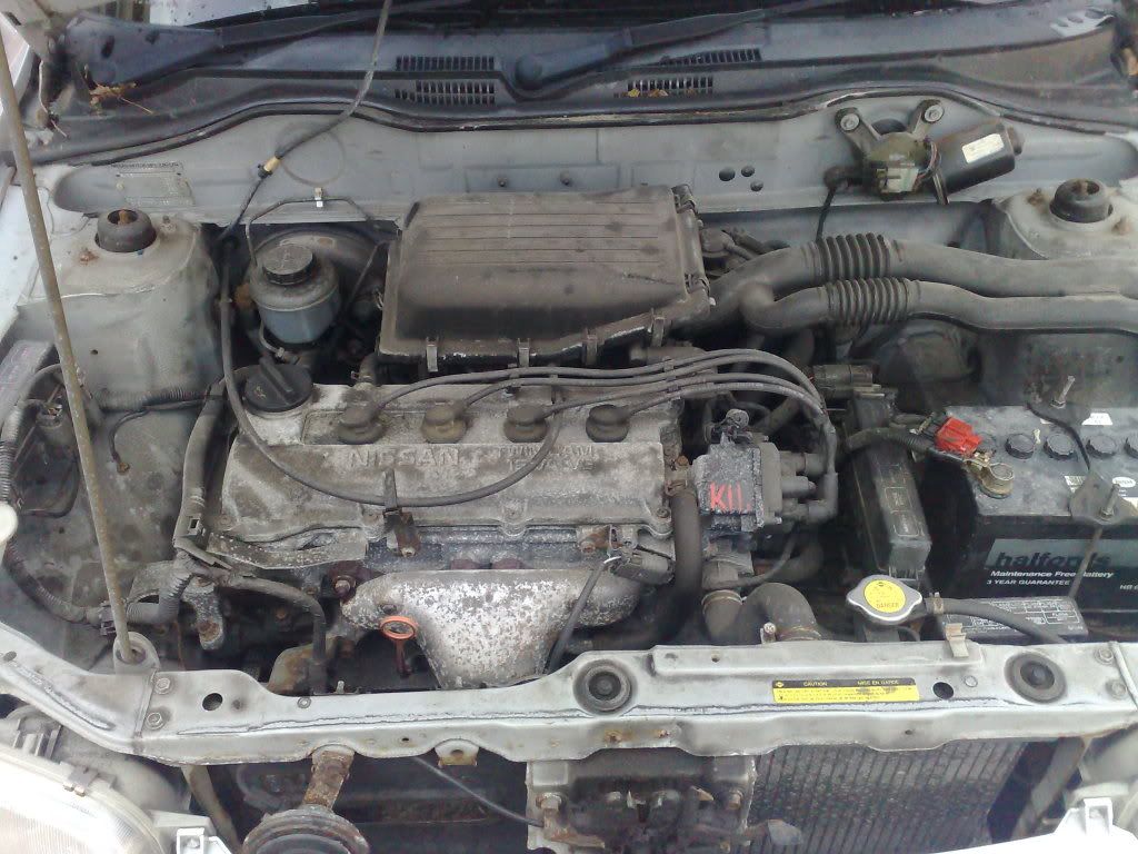 28082009065.jpg