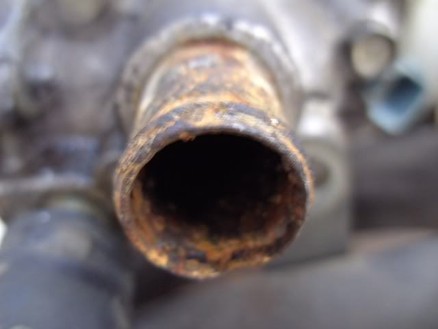 PICT2650.jpg