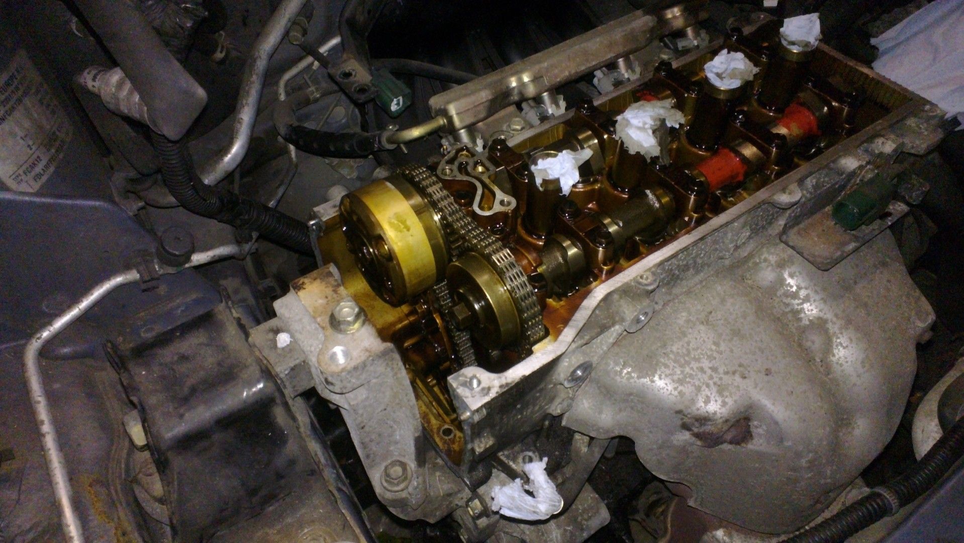 13010053Large.jpg