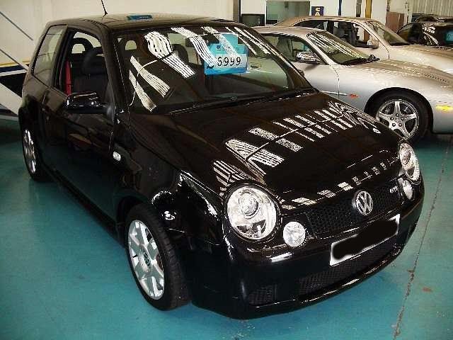 lupo11.jpg