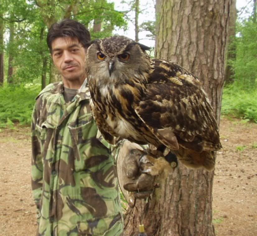Falconrydayout35.jpg