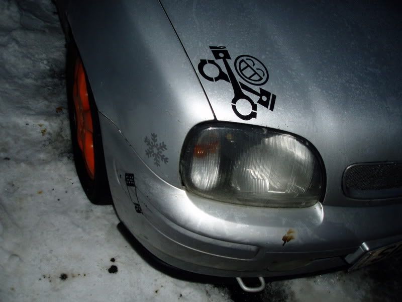 P1010050-1.jpg