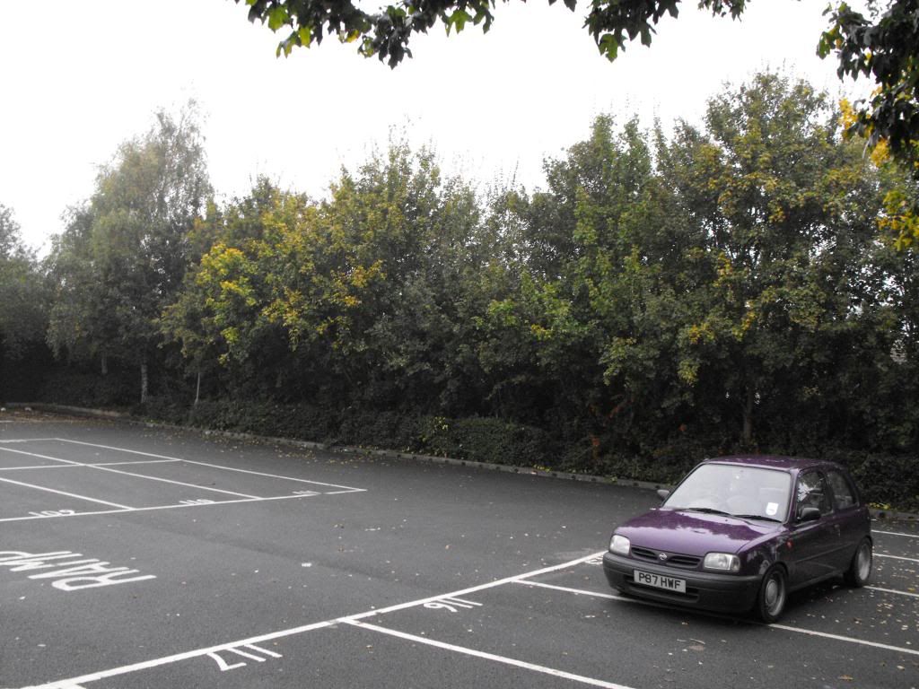 DSCF4797_zpsa4c3589c.jpg