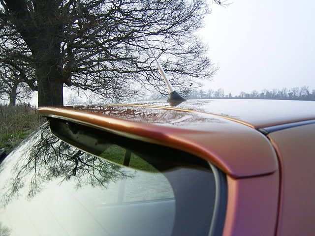 micra009.jpg