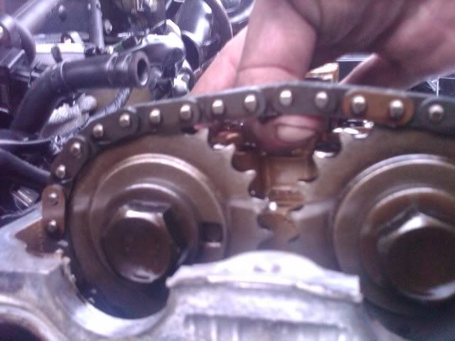IMG00539-20111021-1544.jpg