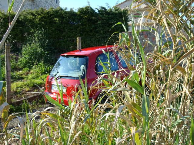 DSC05238.jpg