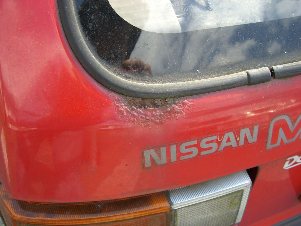 259651494_o.jpg