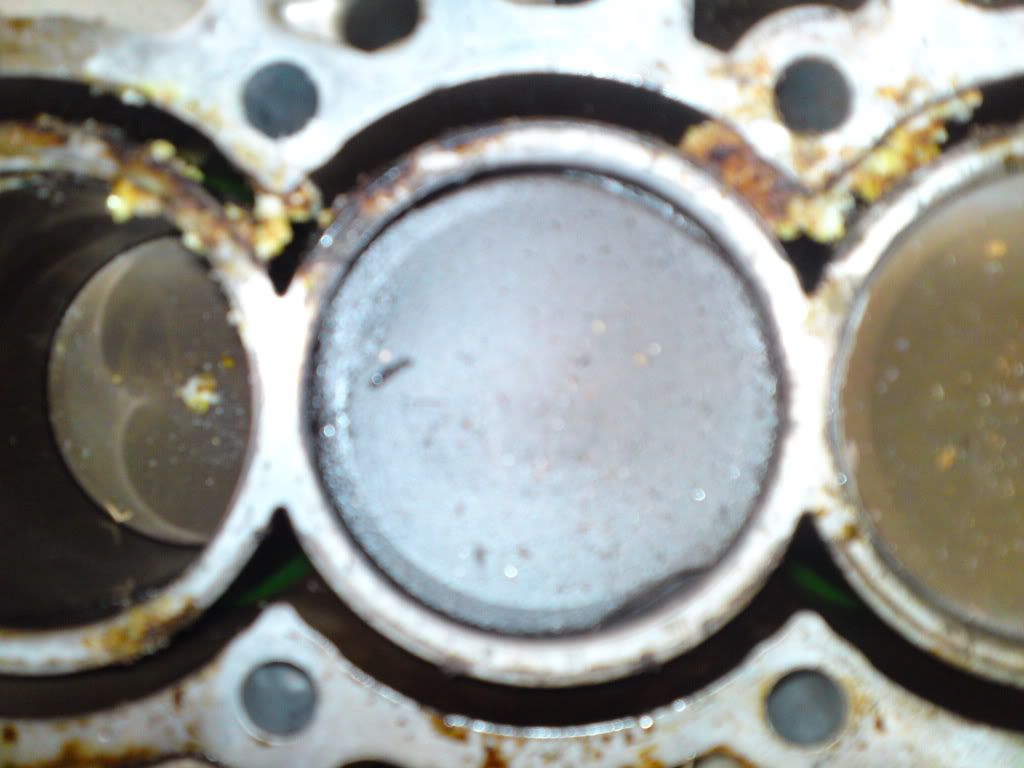 DSC00376.jpg