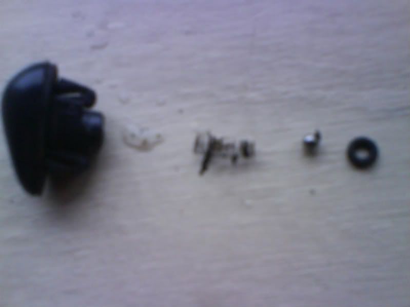 DSC00540.jpg