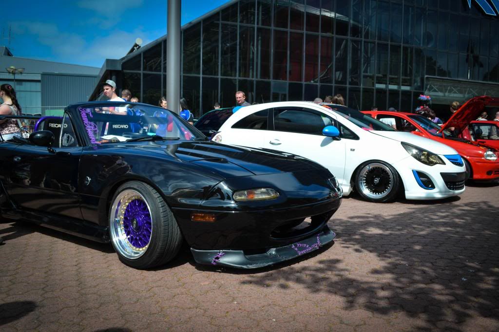 DSC_0115_zps135a0b0c.jpg