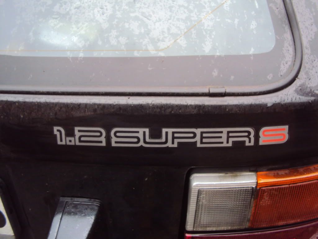 DSC01673.jpg