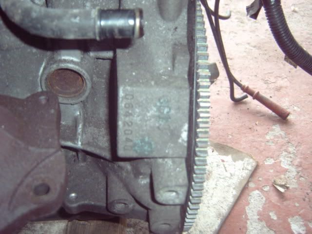 IMG00005.jpg
