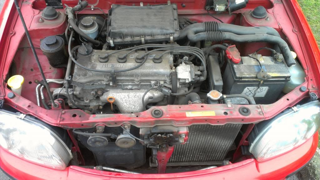 IMAG0265_zps56ae5eec.jpg