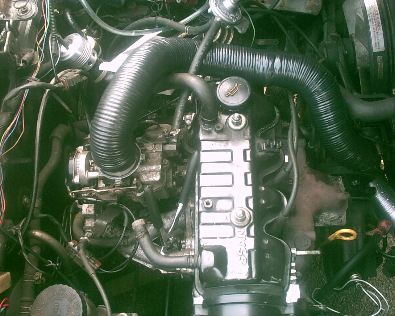 PICT0230.jpg