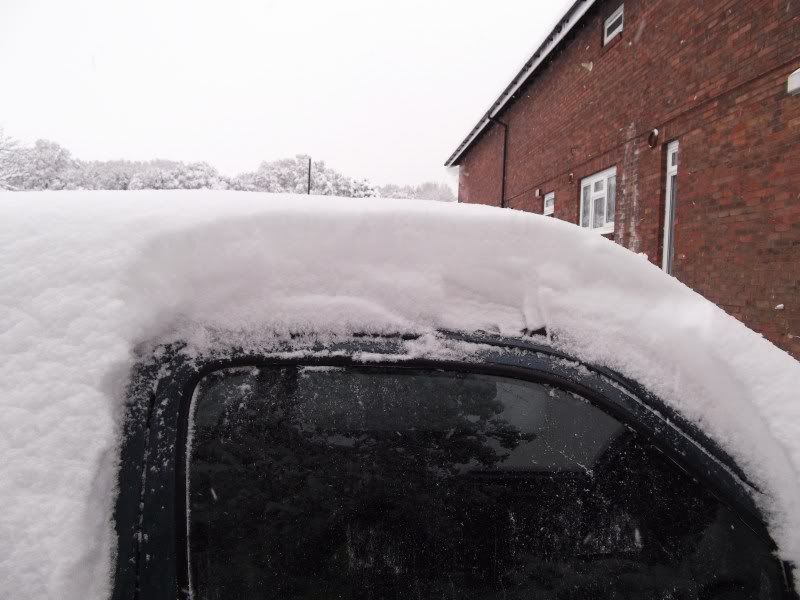 MicraSnow7.jpg