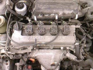 SP_A0270.jpg