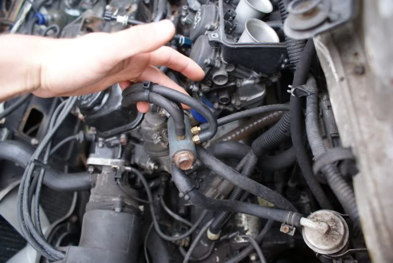 06b9ade6.jpg