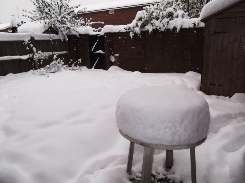 MicraSnow4.jpg