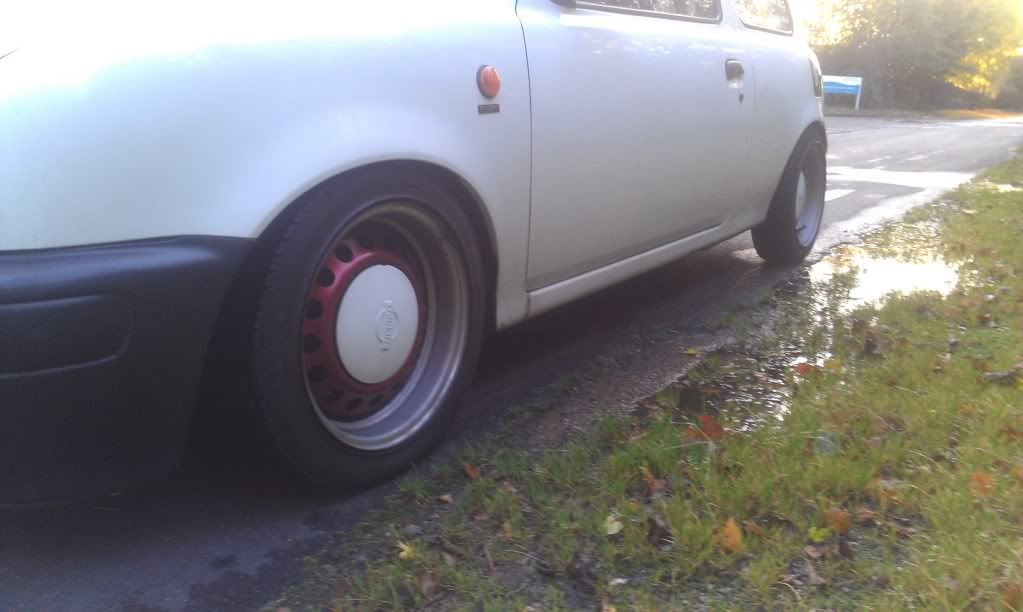 IMAG0007.jpg