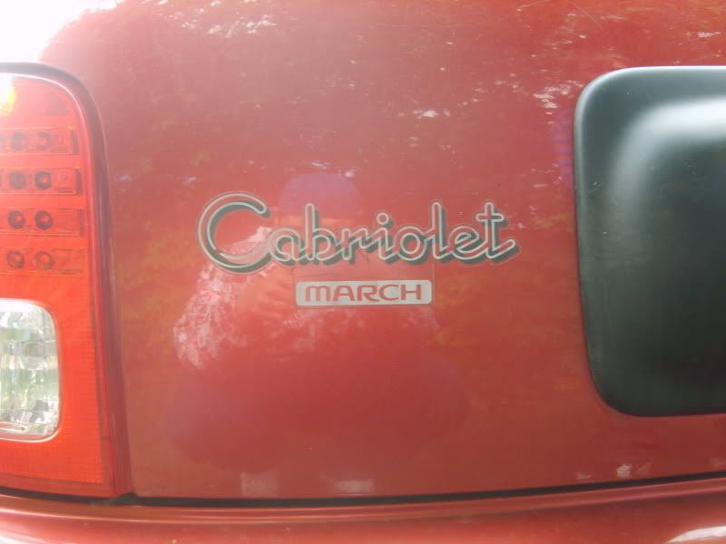 S8001730.jpg