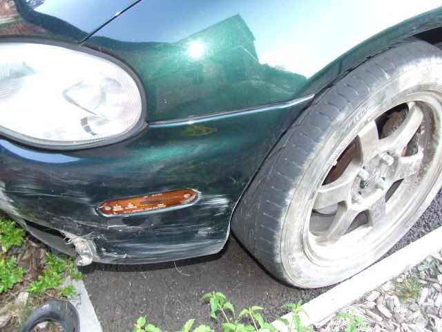 DSCF8883.jpg