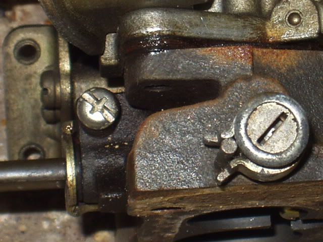 P1010004-1.jpg