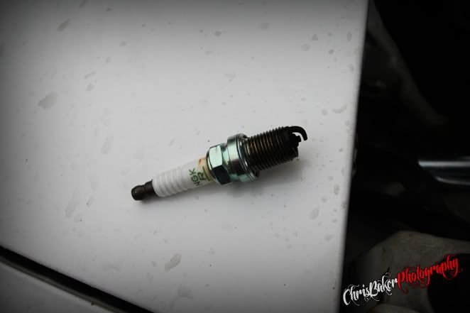 IMG_3462.jpg