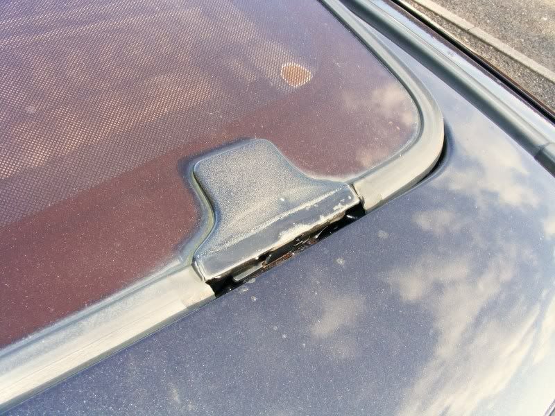 DSCF1356.jpg