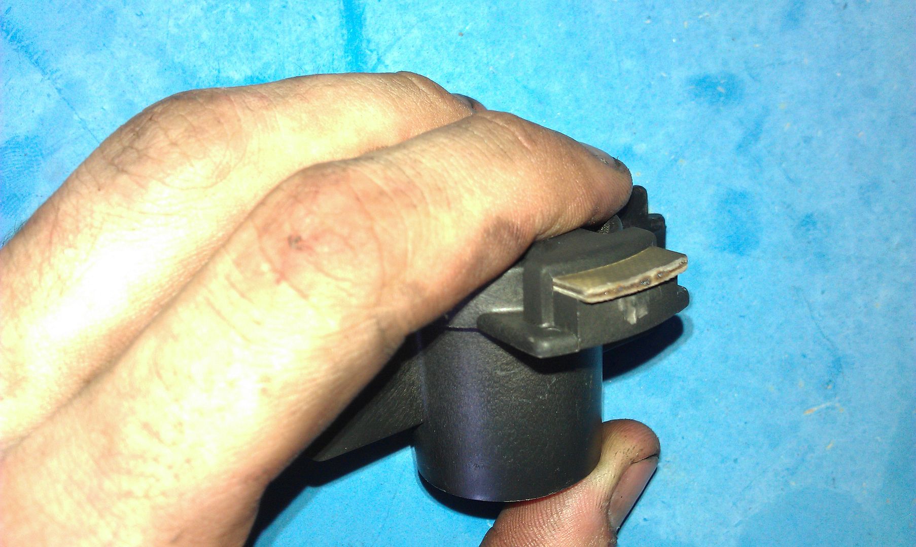 IMAG0575.jpg