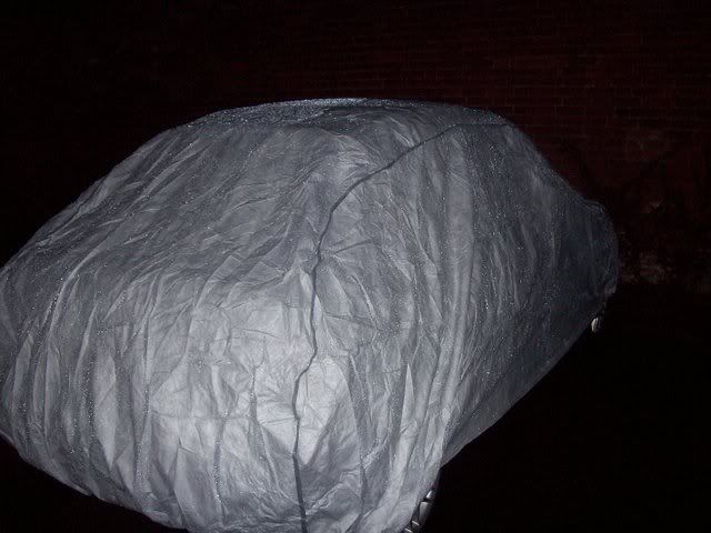 100_3653.jpg