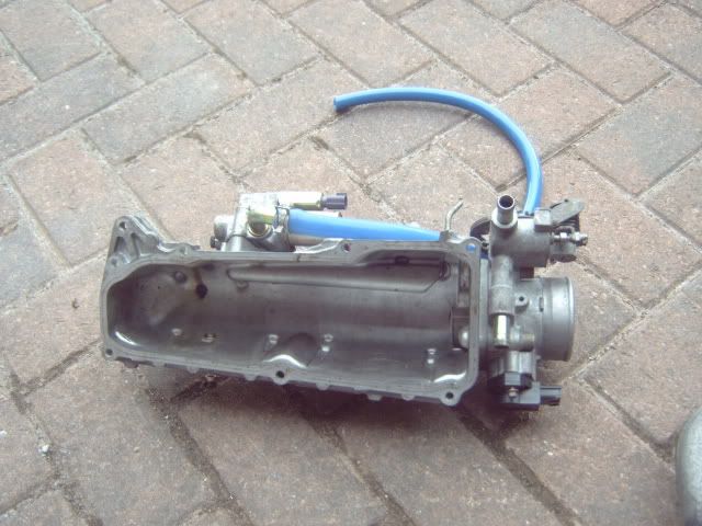 IMG00009.jpg